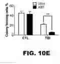 Fig. 42 - Compositions and methods for inhibiting antiapoptotic Bcl-2 proteins as anti-aging agents