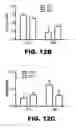 Fig. 47 - Compositions and methods for inhibiting antiapoptotic Bcl-2 proteins as anti-aging agents
