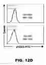 Fig. 48 - Compositions and methods for inhibiting antiapoptotic Bcl-2 proteins as anti-aging agents
