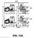 Fig. 49 - Compositions and methods for inhibiting antiapoptotic Bcl-2 proteins as anti-aging agents