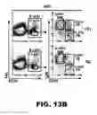 Fig. 50 - Compositions and methods for inhibiting antiapoptotic Bcl-2 proteins as anti-aging agents