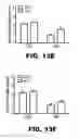 Fig. 52 - Compositions and methods for inhibiting antiapoptotic Bcl-2 proteins as anti-aging agents