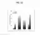 Fig. 15 - Methods and compositions for treating cancers and enhancing therapeutic immunity by selectively reducing immunomodulatory M2 monocytes