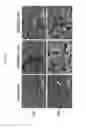 Fig. 12 - Compositions comprising citrate and applications thereof