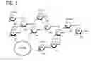 Fig. 02 - Iron-polysaccharide complexes and methods for the preparation thereof