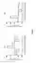 Fig. 11 - USE OF A COMPOSITION COMPRISING ARABIC GUM (AG) FOR IMPROVING GUT IMPERMEABILITY