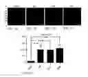 Fig. 09 - TREATMENT OF RESISTANT LESIONS