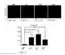 Fig. 13 - TREATMENT OF RESISTANT LESIONS