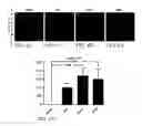 Fig. 23 - TREATMENT OF RESISTANT LESIONS