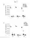 Fig. 06 - BPI and its congeners as radiation mitigators and radiation protectors