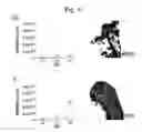 Fig. 09 - BPI and its congeners as radiation mitigators and radiation protectors