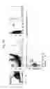 Fig. 15 - BPI and its congeners as radiation mitigators and radiation protectors