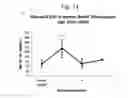 Fig. 22 - BPI and its congeners as radiation mitigators and radiation protectors