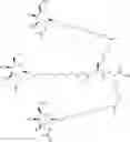 Fig. 15 - Peptide-Based In Vivo siRNA Delivery System