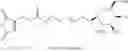 Fig. 21 - Peptide-Based In Vivo siRNA Delivery System
