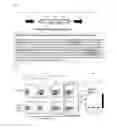 Fig. 02 - EBV antigen specific T-cell receptor and use thereof