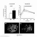 Fig. 06 - Methods for treating metabolic disorders using FGF