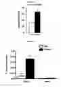 Fig. 16 - Methods for treating metabolic disorders using FGF