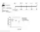 Fig. 08 - Treating infection