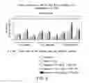 Fig. 05 - High concentration alpha-glucosidase compositions for the treatment of Pompe disease
