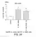 Fig. 26 - High concentration alpha-glucosidase compositions for the treatment of Pompe disease