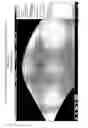 Fig. 06 - Prophylactic normalization of cutaneous wound repair