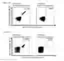 Fig. 35 - Peptides, combination of peptides and scaffolds for use in immunotherapeutic treatment of various cancers