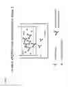 Fig. 04 - METHOD OF EXTENDING HALF-LIFE OF CRYSTALINE ANTIBODIES