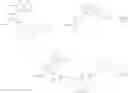 Fig. 117 - Targeted therapeutics