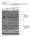 Fig. 22 - Targeted therapeutics