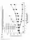 Fig. 25 - Targeted therapeutics