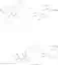 Fig. 188 - Targeted therapeutics