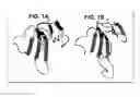 Fig. 02 - Compositions and methods for transport across the blood brain barrier