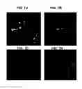 Fig. 08 - Compositions and methods for transport across the blood brain barrier
