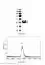 Fig. 10 - Multi-arm linker constructs for treating pathological blood clots