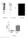 Fig. 18 - Multi-arm linker for treating rejection reaction in transplantation