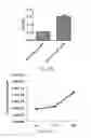 Fig. 20 - Multi-arm linker for treating rejection reaction in transplantation