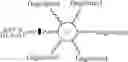 Fig. 30 - Multi-arm linker for treating rejection reaction in transplantation