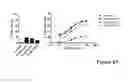 Fig. 13 - Combination IL-2 immunoconjugate therapy