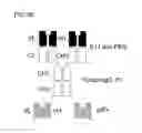 Fig. 11 - Bi-specific antibodies and uses thereof