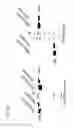 Fig. 13 - Bi-specific antibodies and uses thereof