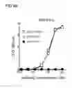 Fig. 15 - Bi-specific antibodies and uses thereof