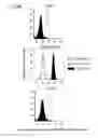 Fig. 19 - Bi-specific antibodies and uses thereof