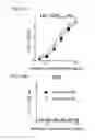 Fig. 27 - Bi-specific antibodies and uses thereof