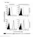 Fig. 28 - Bi-specific antibodies and uses thereof