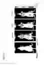 Fig. 33 - Bi-specific antibodies and uses thereof