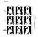Fig. 43 - Bi-specific antibodies and uses thereof