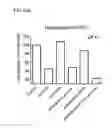 Fig. 57 - Bi-specific antibodies and uses thereof