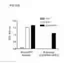 Fig. 60 - Bi-specific antibodies and uses thereof