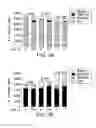 Fig. 06 - COMPOSITIONS AND METHODS FOR TARGETED EPIGENETIC MODIFICATION